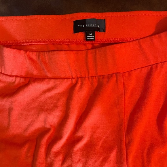 The Limited maxi skirt - Picture 2 of 3